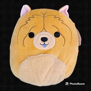 Ultra Rare Original Squishmallow "Sandro" The Chow Chow 10"